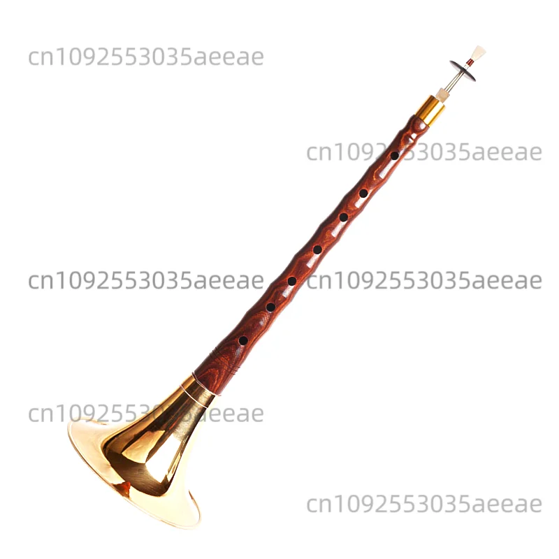 

Red Sandalwood Suona Musical Instrument Full Set of Suona Musical Instruments Beginner Professional Playing Type D Key Horn