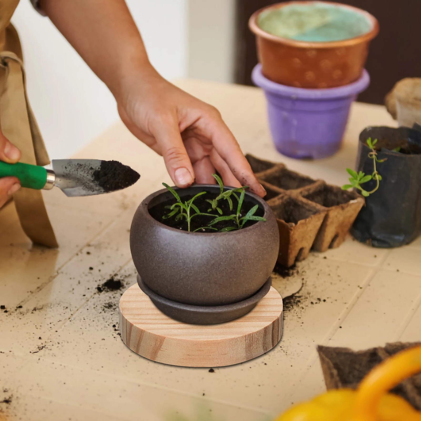 

Wooden Plaques for Crafts Durable Premium Materials DIY Figurine Holders Craft Wood Base Sculpture Making Accessories Safe