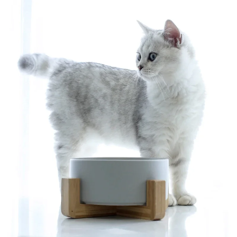 Ceramic Dog Feeding Bowl Pet Feeder Goods For Cats Puppy Food Water Container Storage Waterer Accessories Animal Supplies #P003