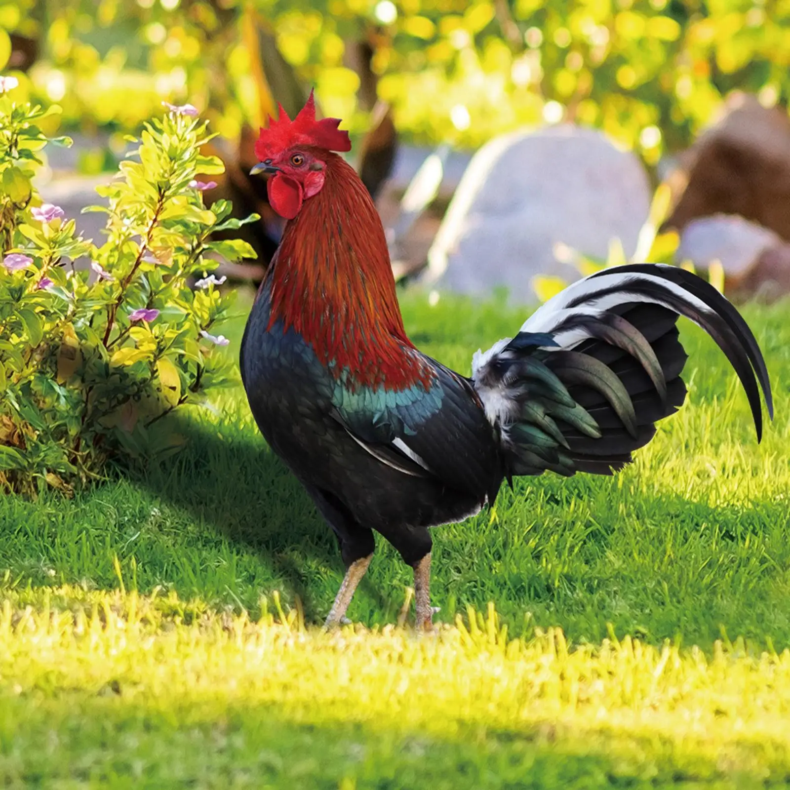 Rooster Animal Statue Stakes Lifelike Stake for Courtyard Outdoor Backyard