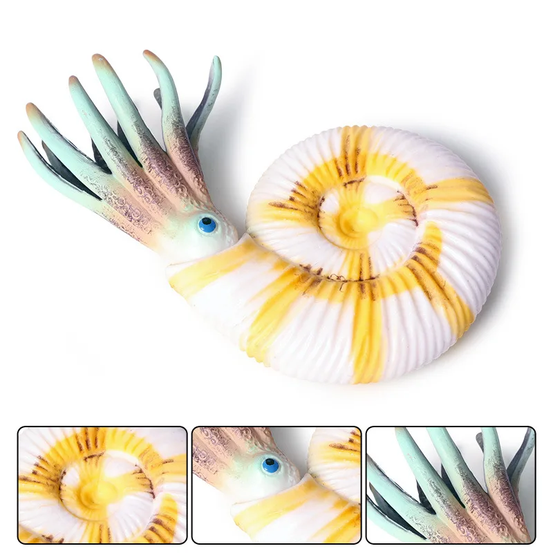 Conch Simulation Marine Animal Model Toy Ancient Creature Nautilus Model Children's Doll Ornaments