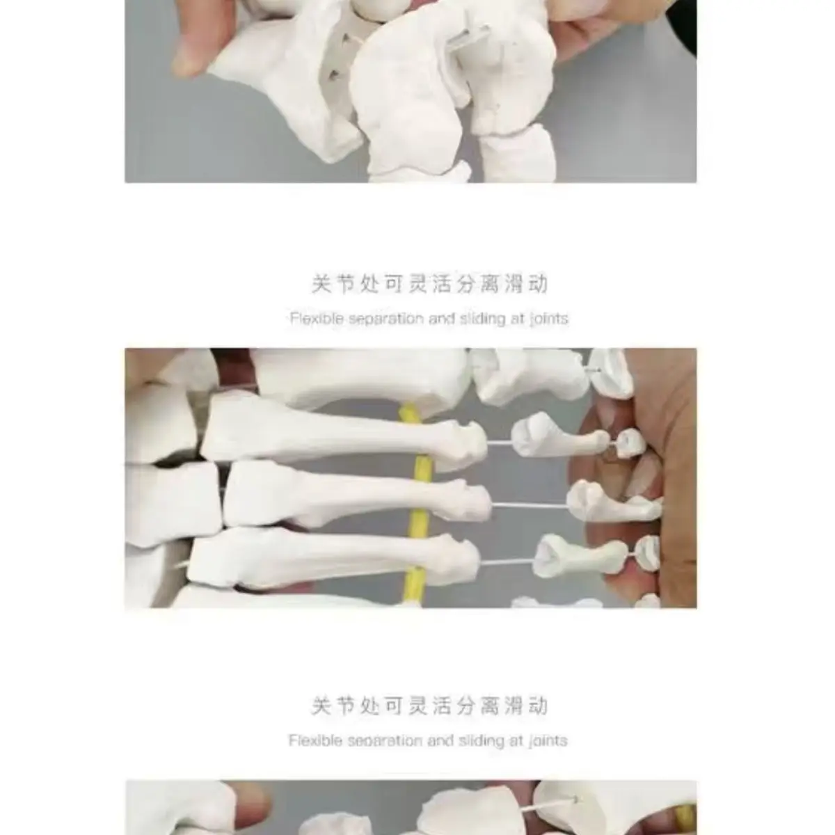 

1:1 модель лодыжки и стопы человека, подвижная хирургия стопы, ортопедическая имитация, реабилитация, обучающая демонстрация, обучение