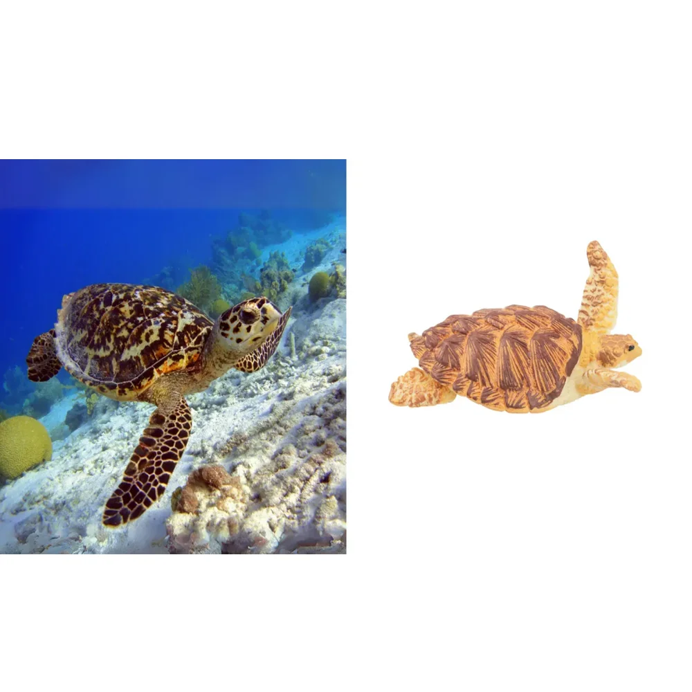 Toymany Simulation natation Hawksbill tortue de mer océan modèle Animal jouet Mini figurines poupées Figurines d'action jouets enfants cadeau