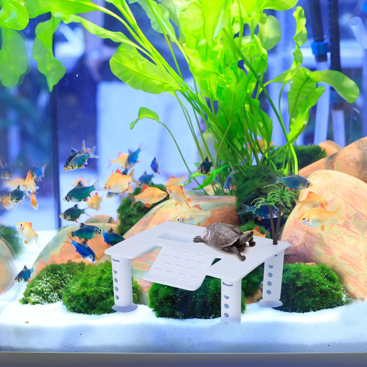 

1PC Square Turtle Drying Back Platform Plastic Reptile Basking Stair Aquarium Waterproof Floating Climb Hide Basket Cup