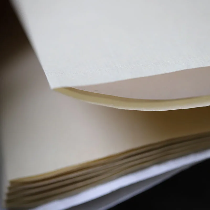20 Sheets Book  Xuan Paper for Small Regular Script-Ripe Xuan Paper Xiao Kai Chinese Calligraphy