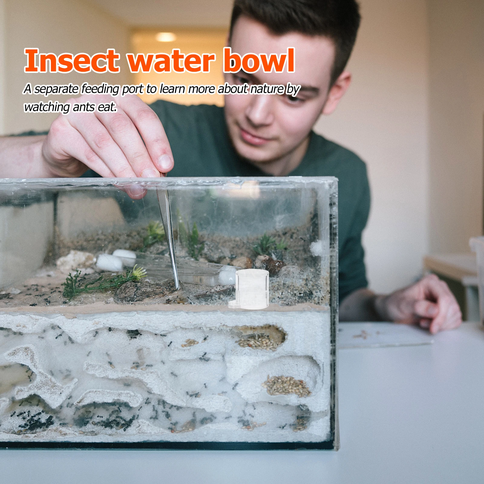 

2Pcs Premium Acrylic Ant Water Feeder Transparent Design Separate Feeding Port Ideal Gift for Friends and Family