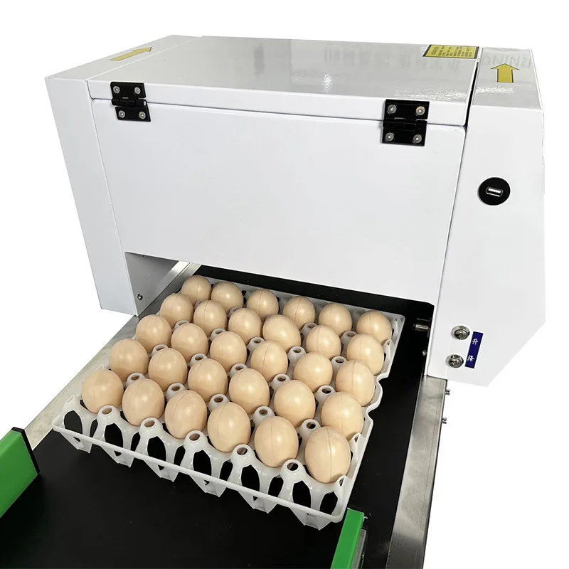 600DPI Resolution Intelligent Fully Automatic Egg Batch Code Printer Multi Color Food Grade Ink Cartridge Desktop Egg Encoder