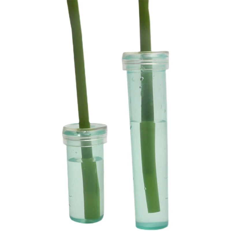 Large Fresh-Keeping Water Tubes, Clear Plastic Floral Flower Nutrition Tube with Caps