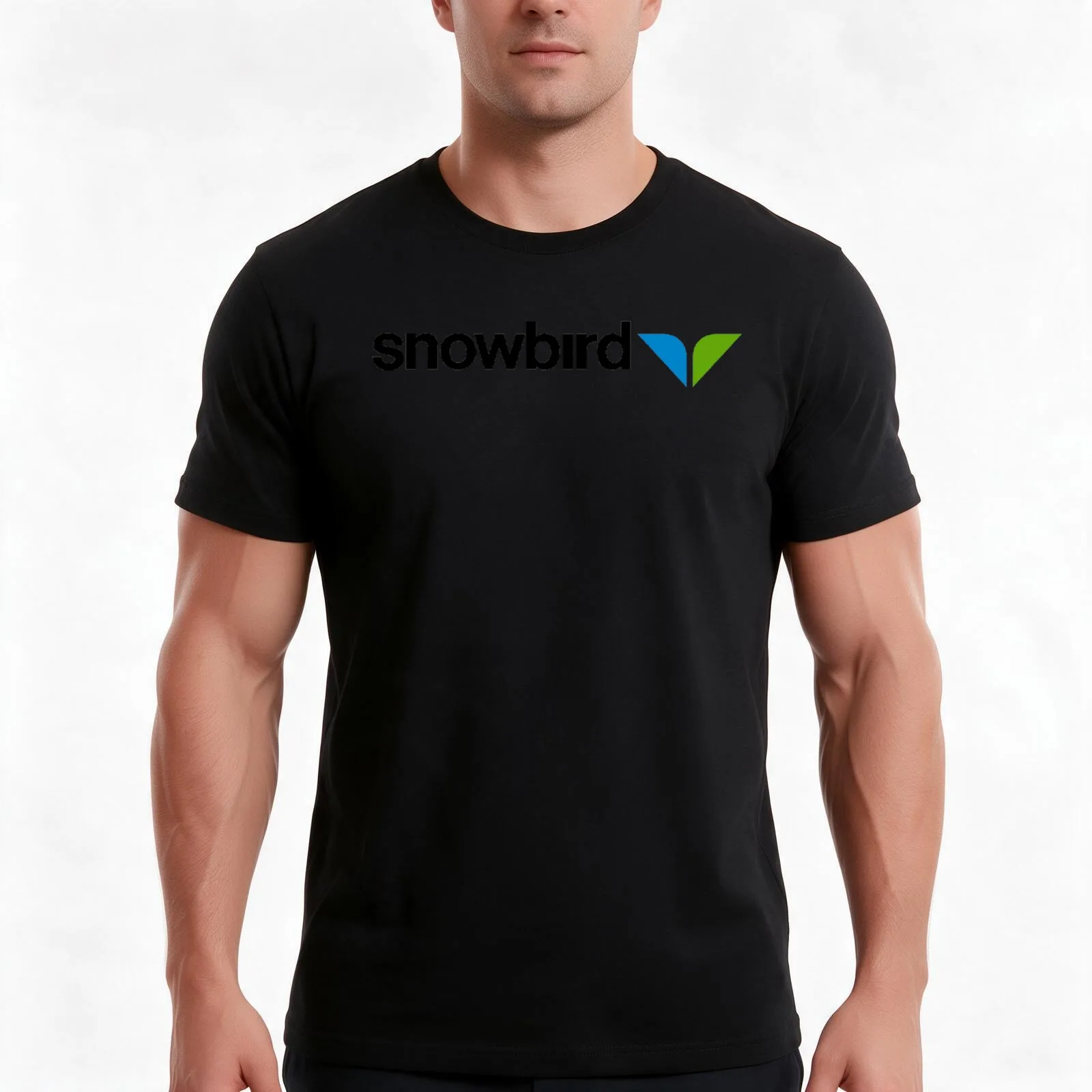 Snowbird T-Shirt, Summer Casual Cotton Tee, Oversized Streetwear Tops, Vintage Graphic Print, Loose Fit Short Sleeve