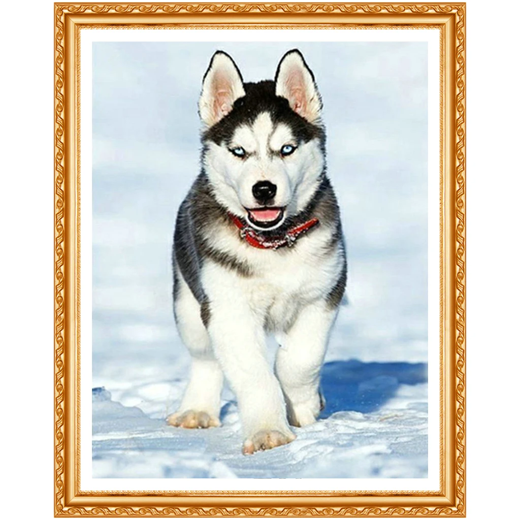 NEW DIY Snow husky 5D dog diamond  full diamond embroidery needlework diamond painting cross stitch crafts home decor