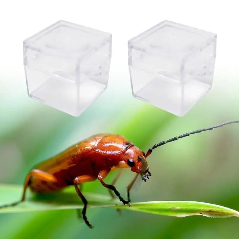 For Hand On Learning Miniature Insect Housing Unit 6pcs Insect Container Viewer