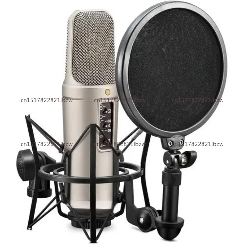Best Quality  NT2-A Large-Diaphragm Multipattern Condenser Microphone Ready to Ship