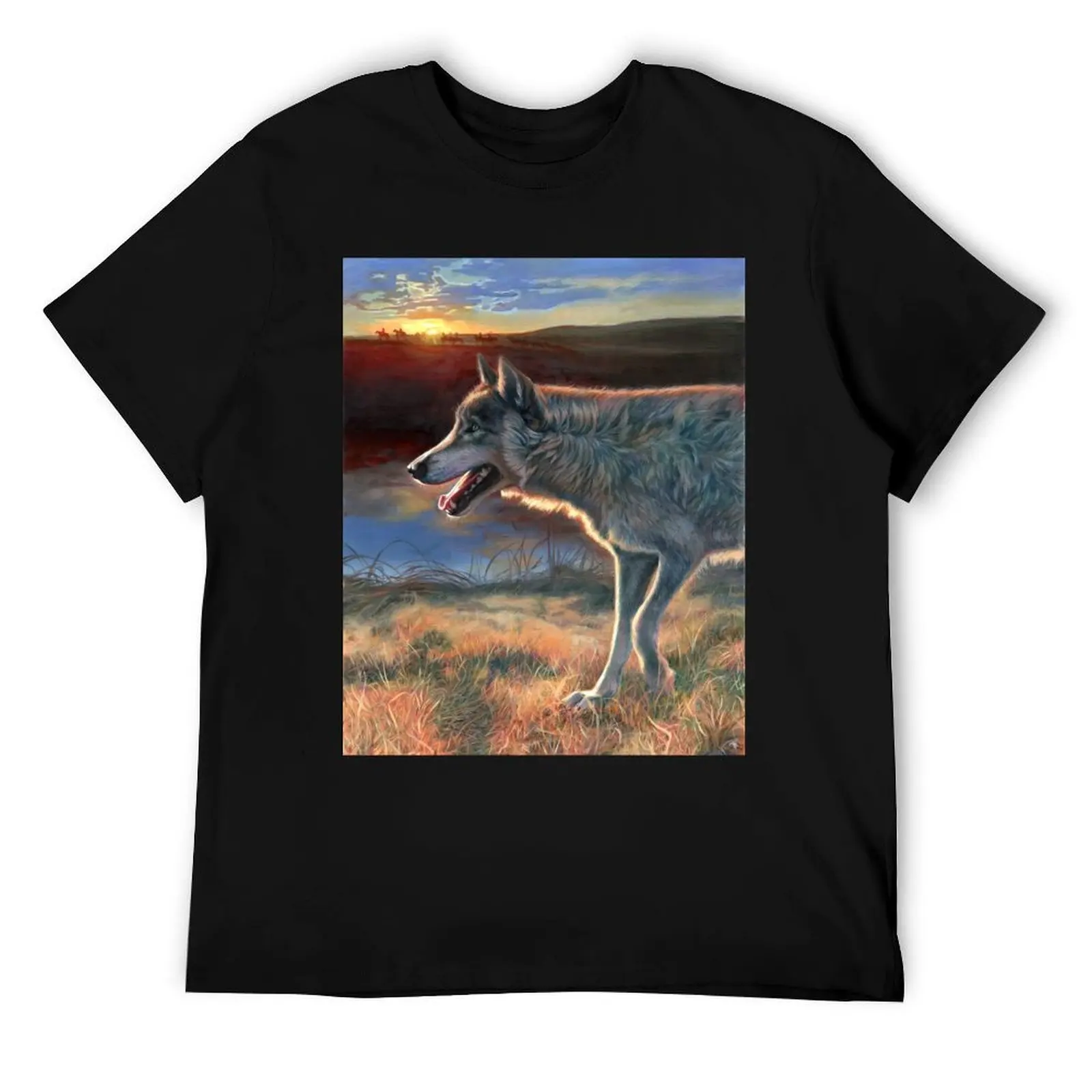 اثنين من الجوارب - الرقص مع الذئاب تي شيرت رجل تي شيرت فاخر أنيمي تي شيرت للرجل تي شيرت