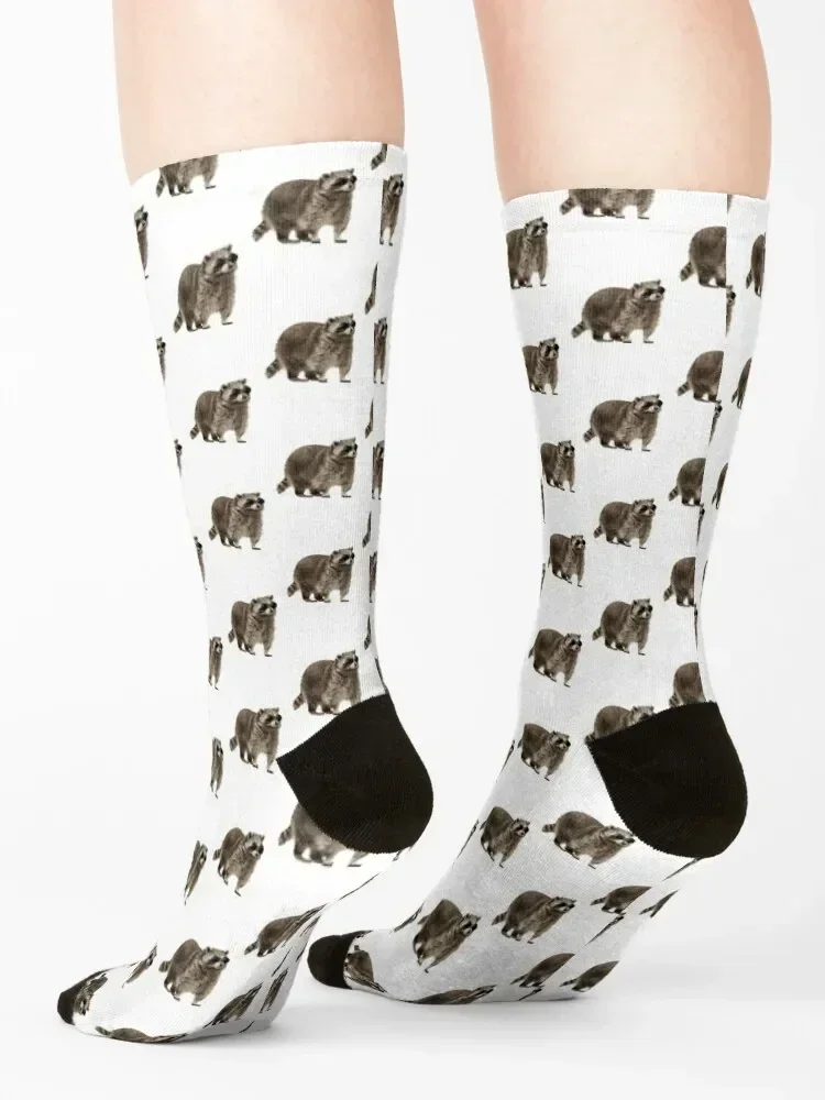 Rad Racoon Meias curtas antiderrapantes para academia Designer Man Socks femininas