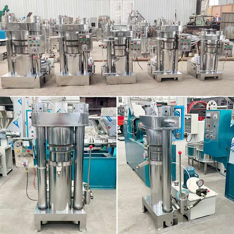 Rapeseed Walnut Palm Kernel Cold Pressed Edible Oil Press Shea Butter Making Machine