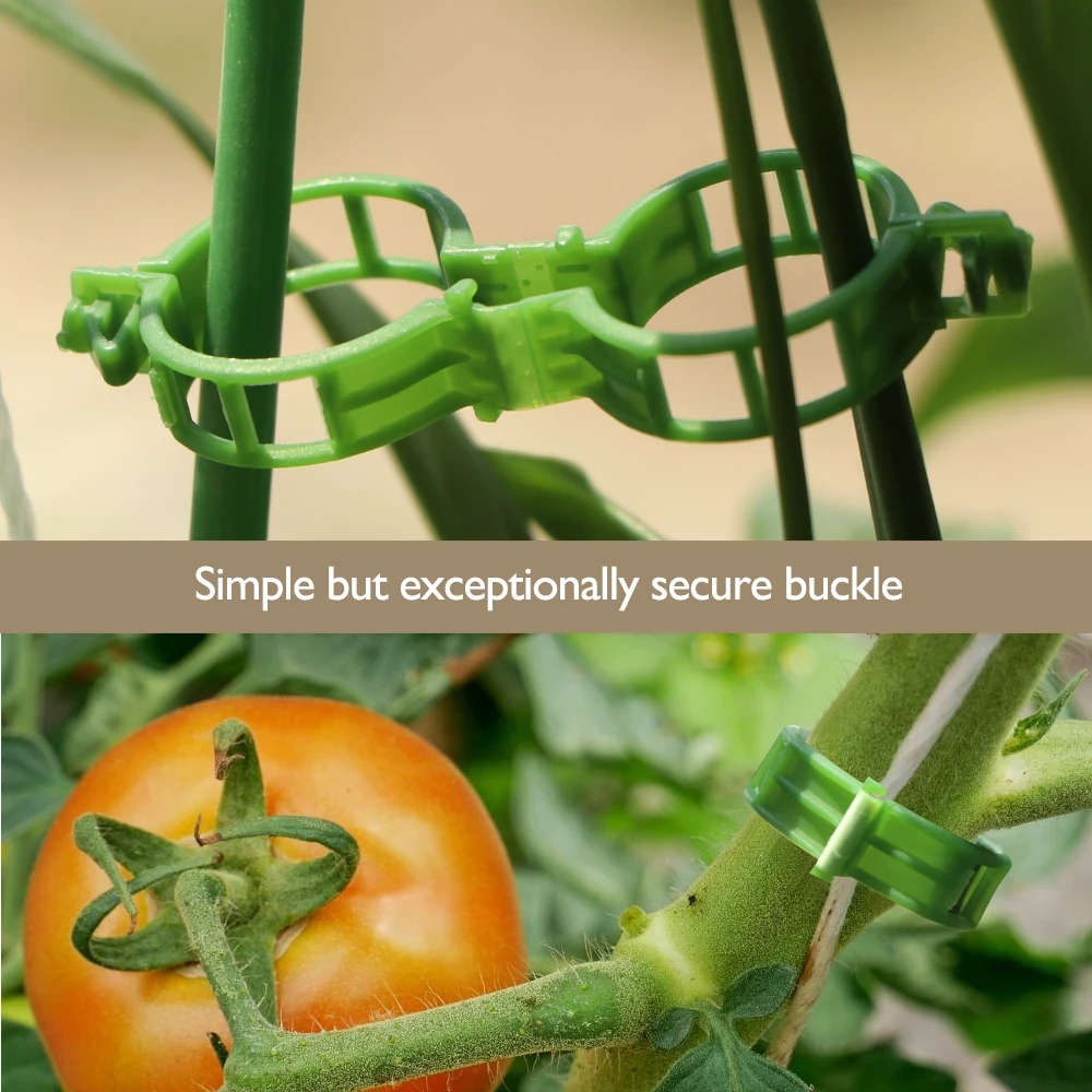 Plastic Garden Plant Support Clip Flixed Ring Buckle Traction for Vine Tomato Melon Grape Vegetables Clamp Protection Grow Uprig