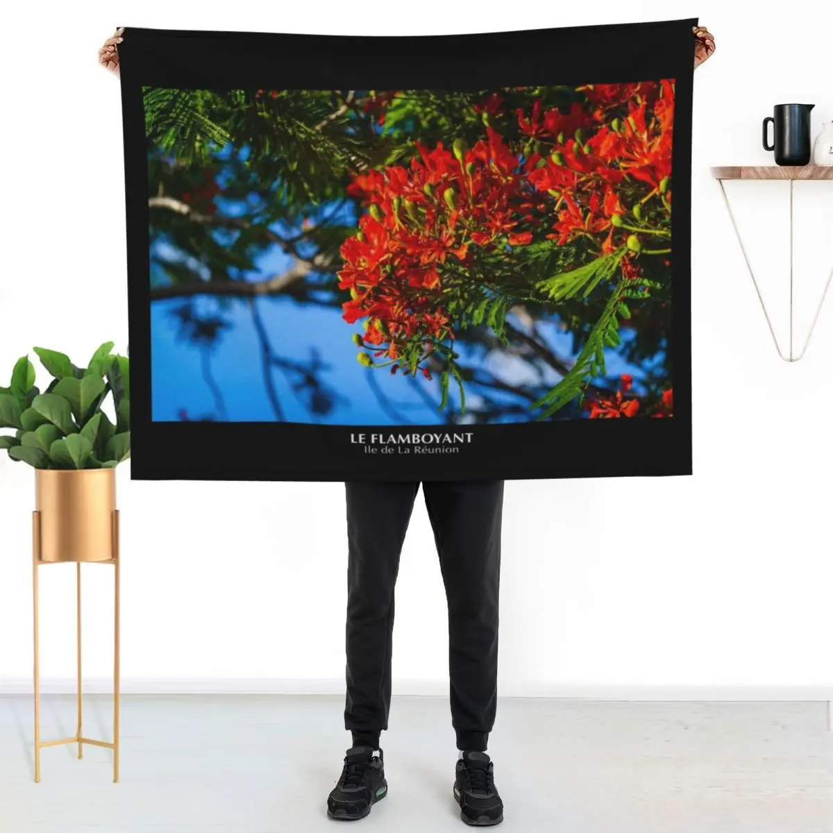 Flamboyant on Reunion Island Throw Blanket Hair Blankets For Baby Soft Beds Thin Multi-Purpose Personalized Gift Blankets