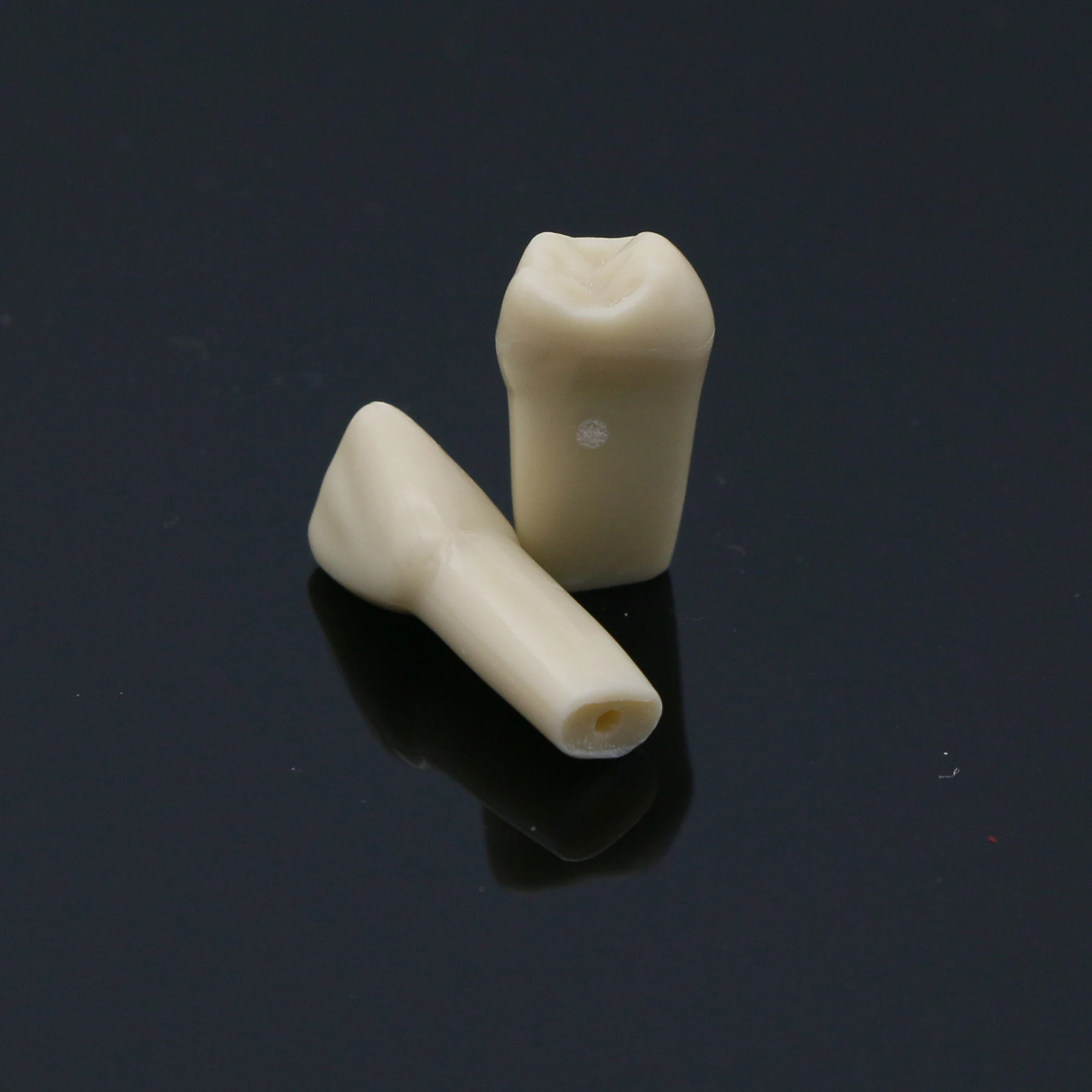 5 sztuk Frasaco szczęki AG3 oryginalny typ Fit Dental Model zębów wymiana wkręcane standardowe Typodont praktyka napełniania przywrócenie