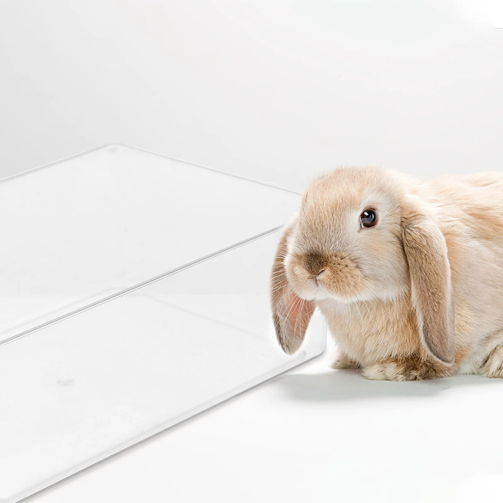 

Transparent Sand Bath Box For Hamsters Compact Cage Bathroom Reusable Small Pet Supplies Chinchilla Bathtub Household Animal