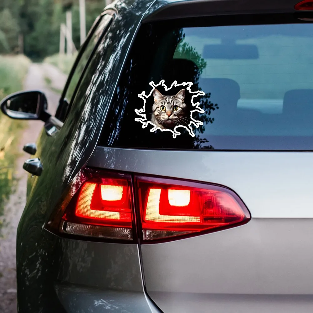 Cat Kitten Peeking Trendy Must Have Durable Stylish Motorcycle Decal Decoration Waterproof Vinyl Car Laptop Window Bumper