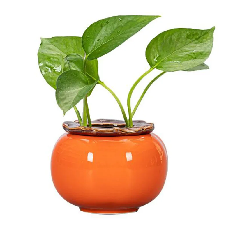 Creative Persimmon Hydroponic Flowerpot Planter Vase Office Desktop Ornaments Plant Container Home Decor