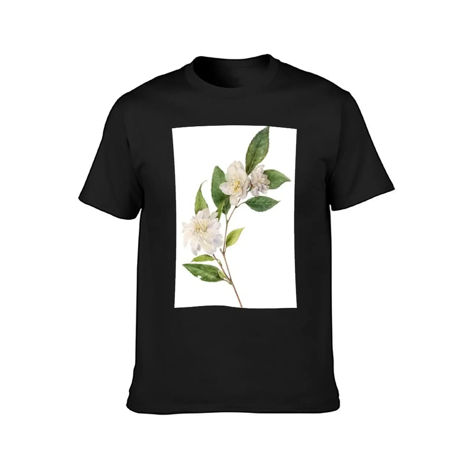 Camellia - Flowering Botanical T-Shirt shirts graphic tees Short sleeve tee Men's clothing