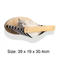 cat hammock 1