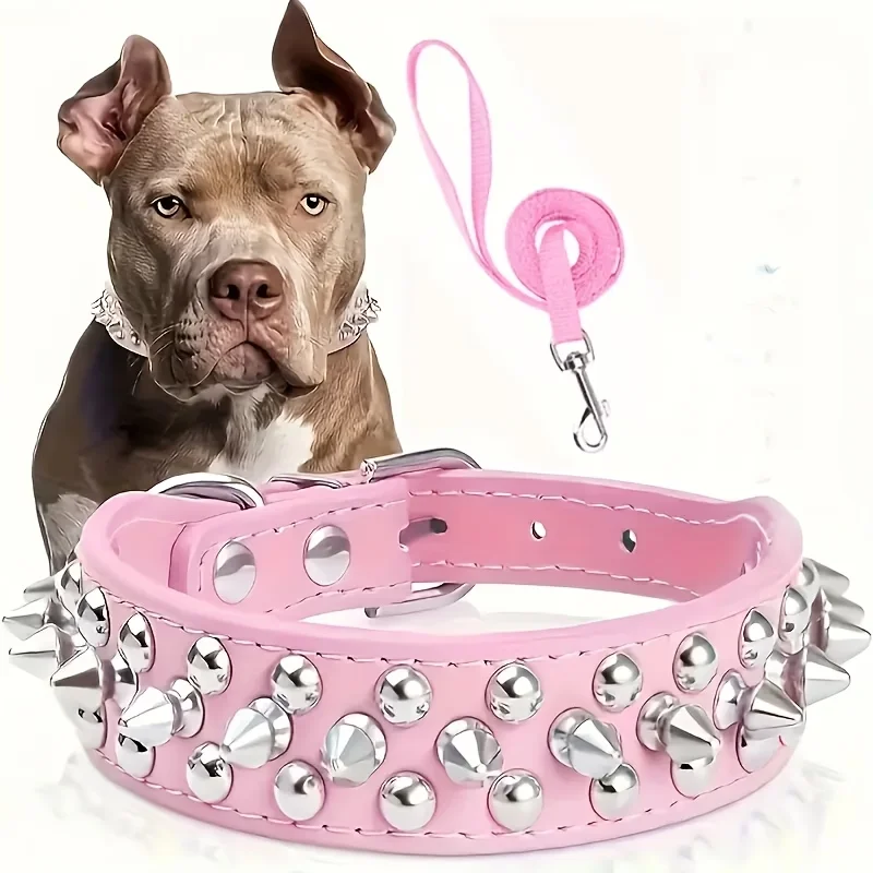 2-teiliges Set aus Nieten-Hundehalsband und Leine, Verstellbares Nieten-Kunstleder-Halsband für Outdoor-Spaziergänge – Detail 1