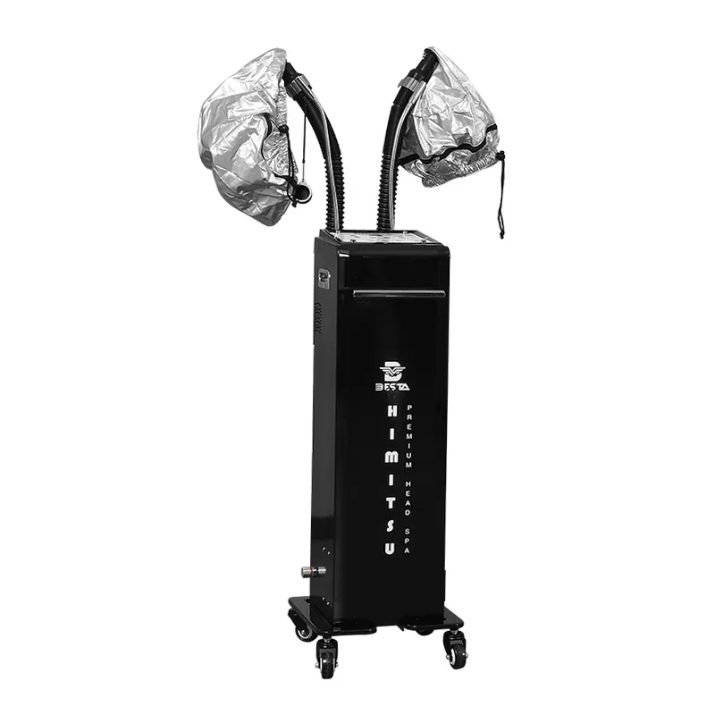 

New Luxury Nano Hair Steamer Machine Two Steam Caps Ozone Big Mist 700W Full-Automatic Hair Treatment White/Black Hair/Face/Hand