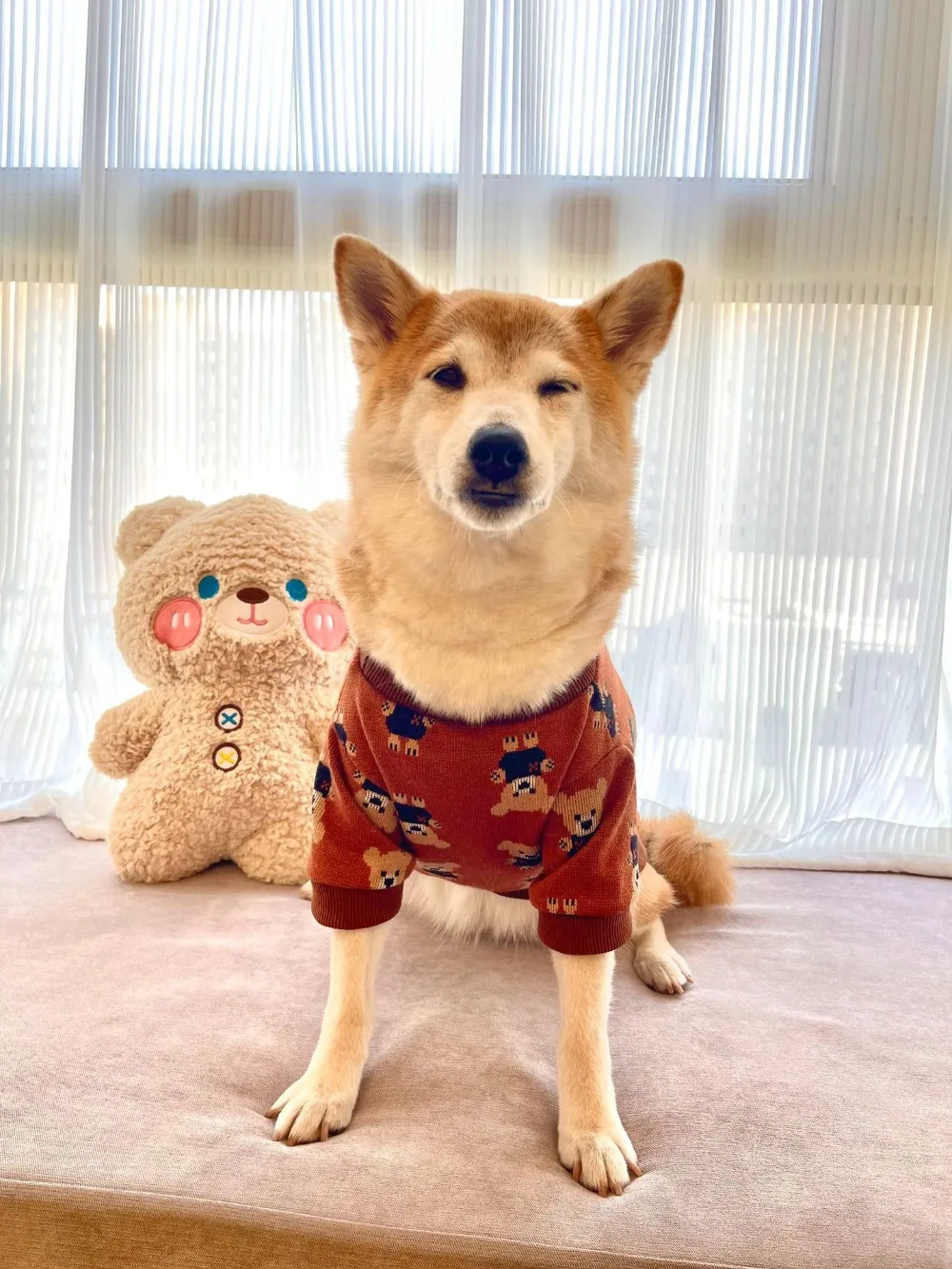 

Pet Cartoon Pattern Sweater Dog Fall/Winter Warm Clothing Fashionable Pet Sweater Suitable for Small to Medium Dogs