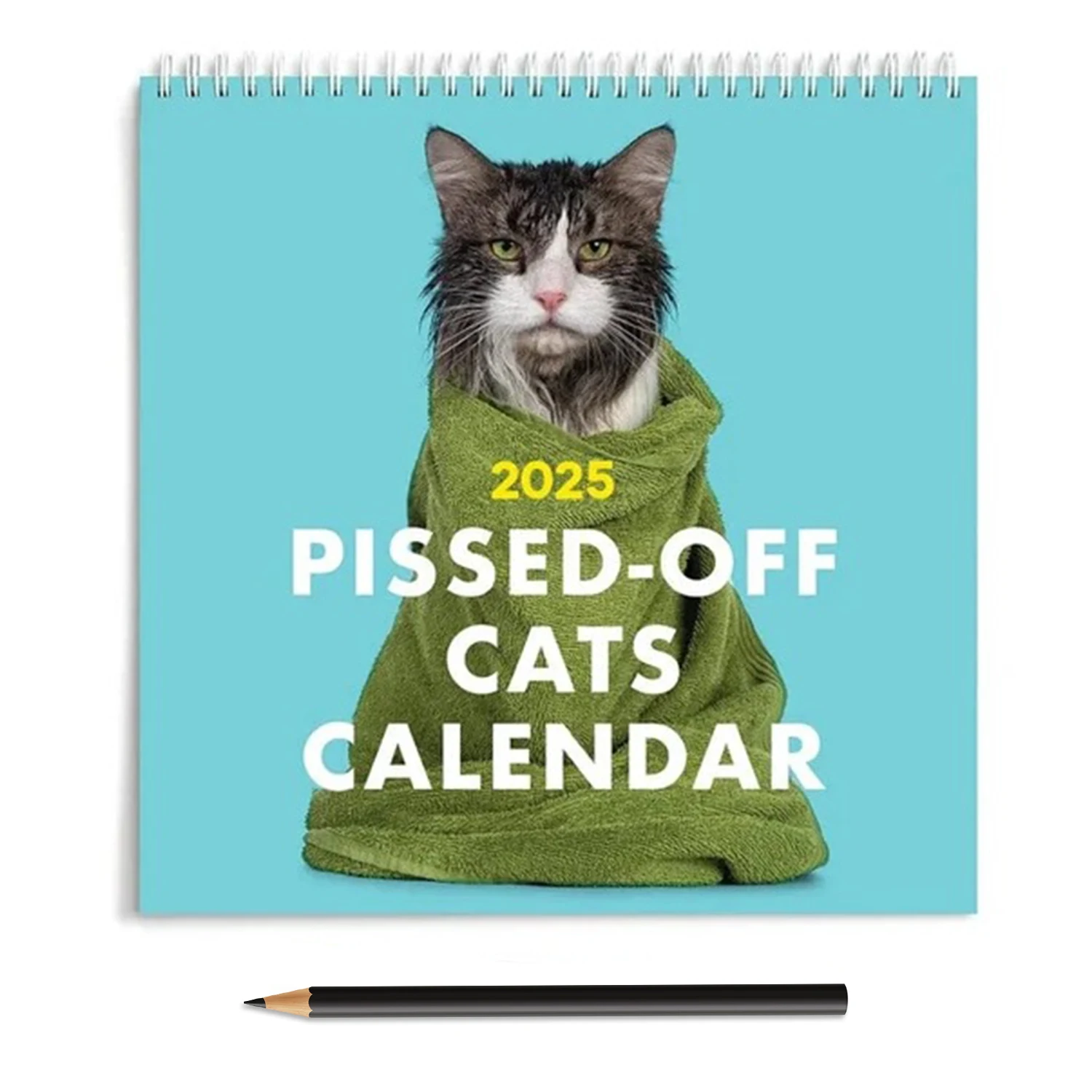 2025 Pissed-Off Cats Wall Calendar 2025 Angry Cats Wall Calendar 12 Cat Cold Comedies New Year Gifts for Cat Lovers Wall Decora