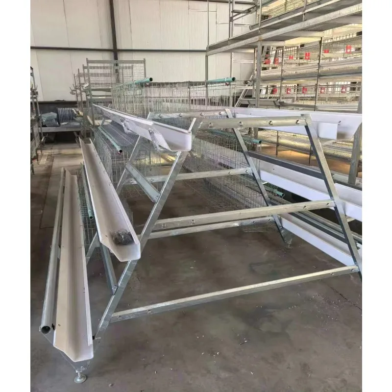 Feeding System for Poultry Chicken Duck Poultry Farming New Condition