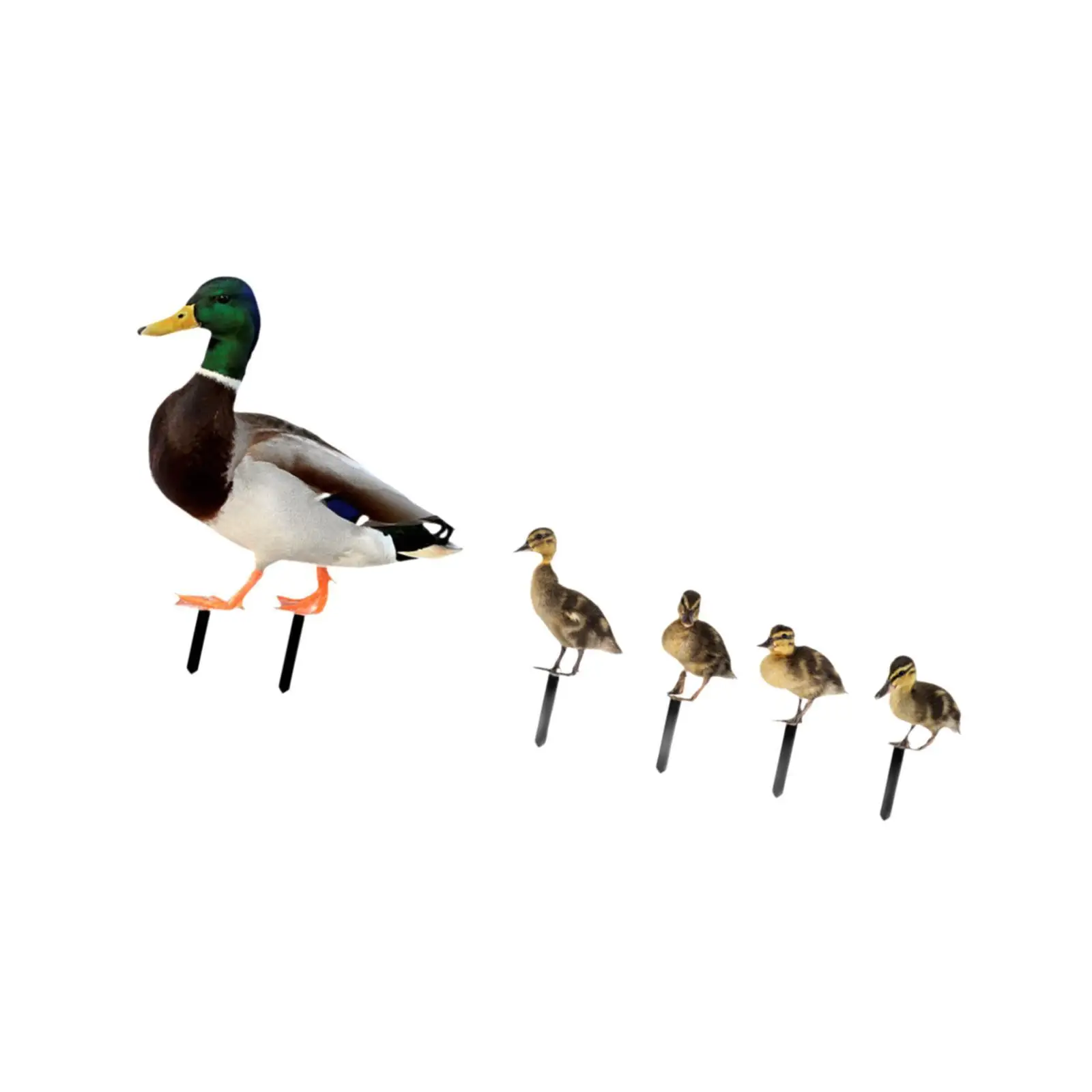 5Pcs Duck Statues Garden Stakes Animal Sculptures Decorative Figurines Yard Art for Lawn Pathway Courtyard Patio Backyard