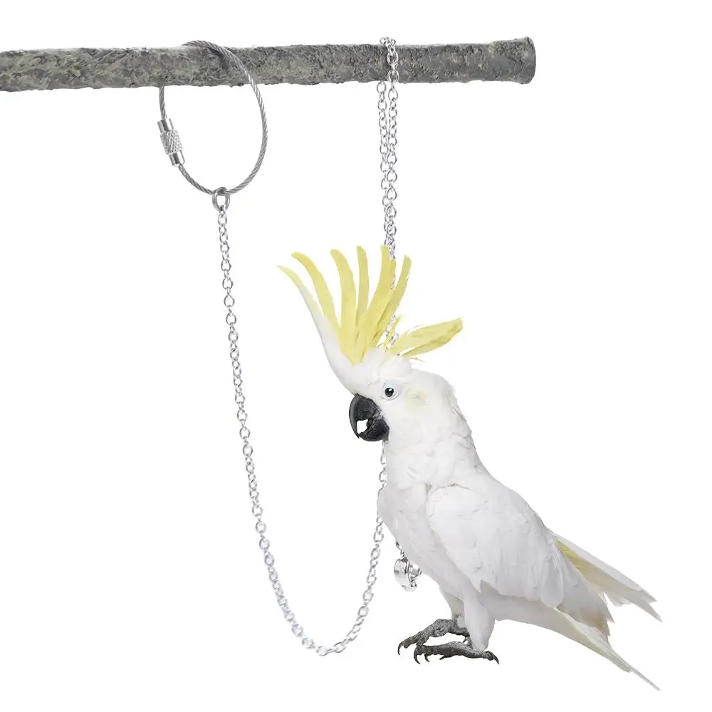 Steel Outdoor Cockatiel with Swivel Buckle Starling Bird Accessories Parakeet Foot Chain Bird Stand Ankle Parrot Foot Ring