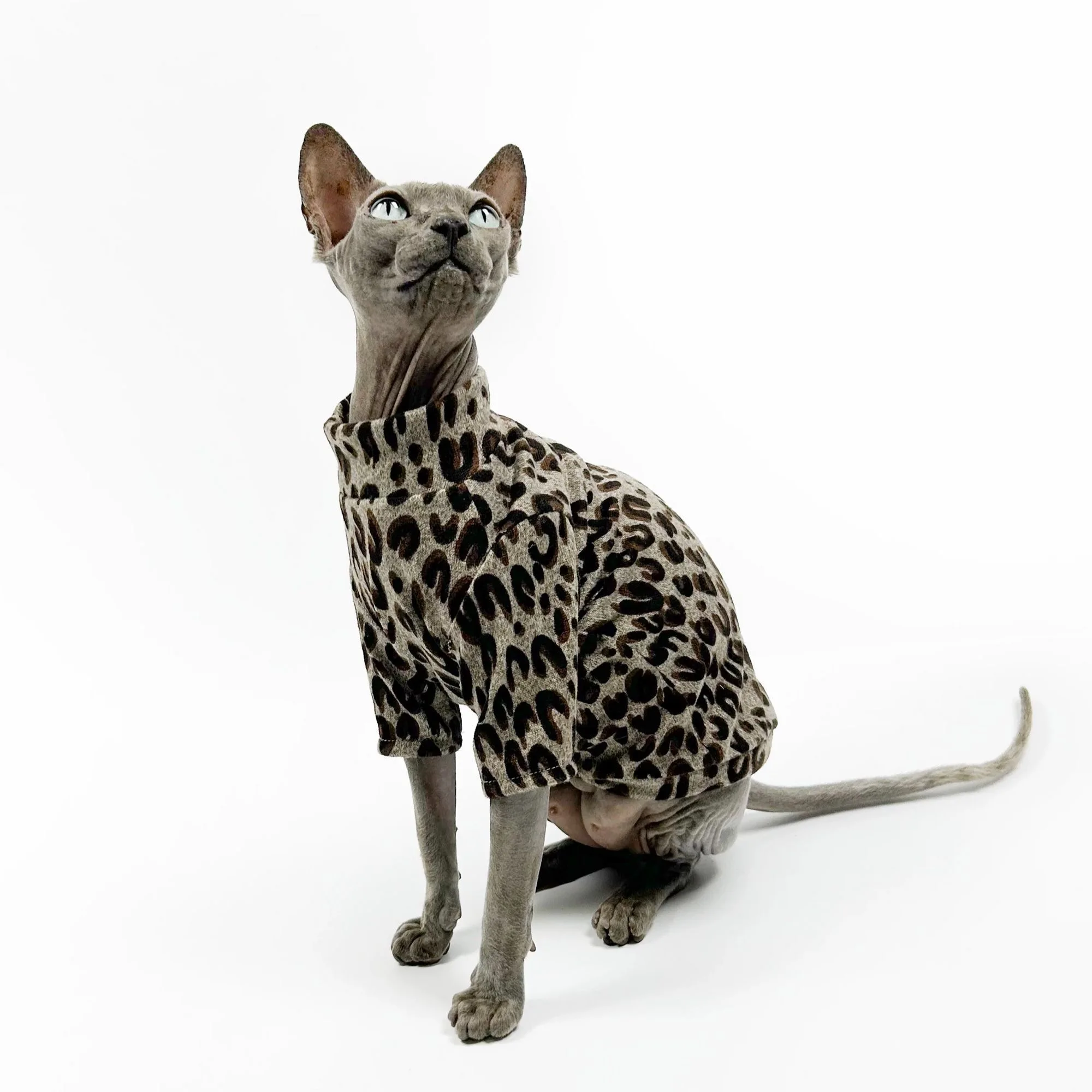 Clothing for Hairless Cat Leopard T-shirt for Sphynx Stretch Summer Clothes for Devon Curly Soft Thin Coat for Kittens in Spring