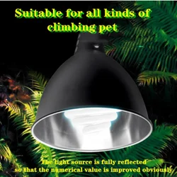 Reptile Deep Dome Light Fixture Terrarium Anti-scald Protective Lampshade Tortoise Lizard Snake Lamp Holder Safety Light Shade