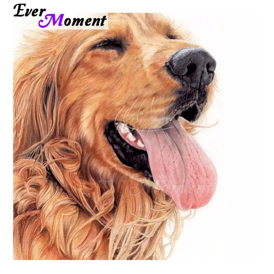 

Алмазная картина Ever Moment, 5D DIY, полная квадратная дрель, украшение для собаки для дома, алмазная вышивка ASF1329