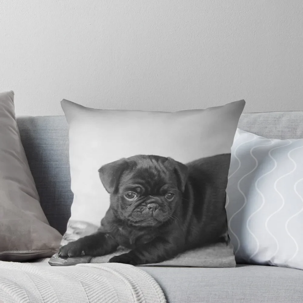 

Black Pug Puppy Ready to Play Throw Pillow sleeping pillows Sofa Decorative Covers Couch Pillows