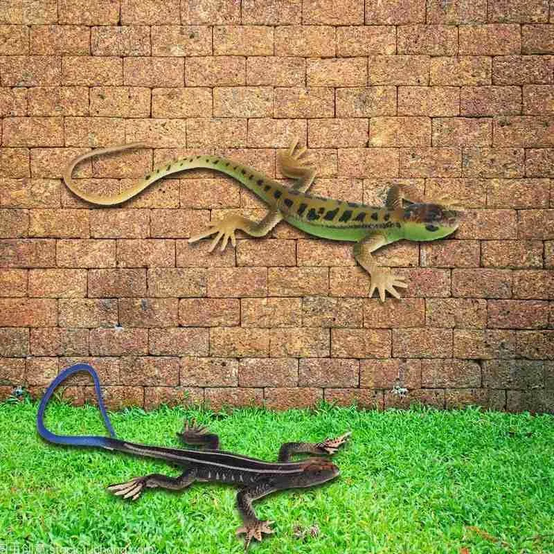 1pcs Lizards Animal Model Action Figure Garden Ornaments Kids Prank Toy Simulation Four-legged Snake Animal Model Toy Kids Gift