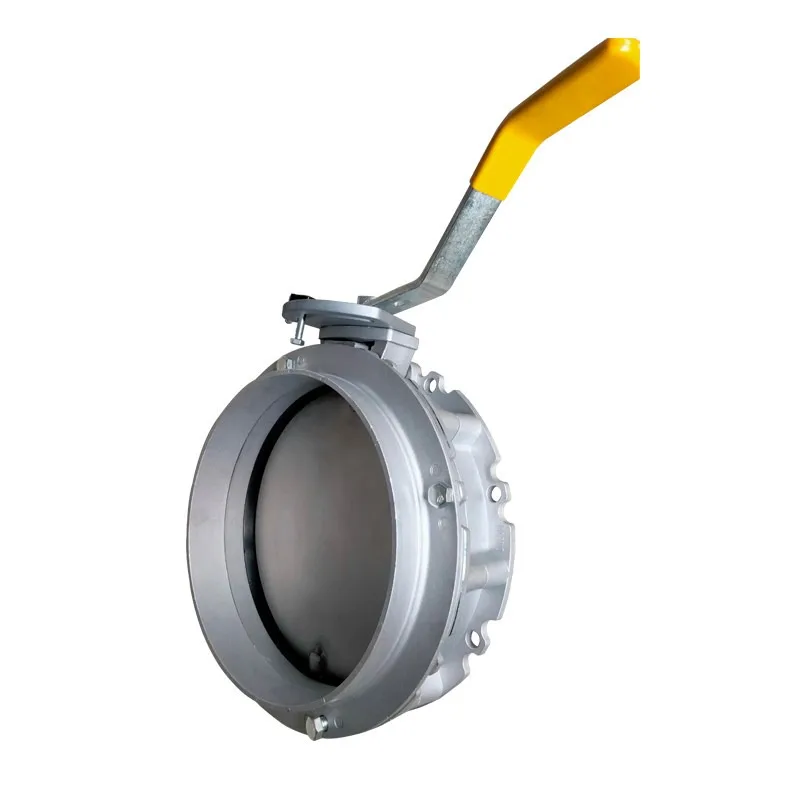 Dongqi manual dust powder butterfly valve stainless steel single and double flange turbine handle DN100 150