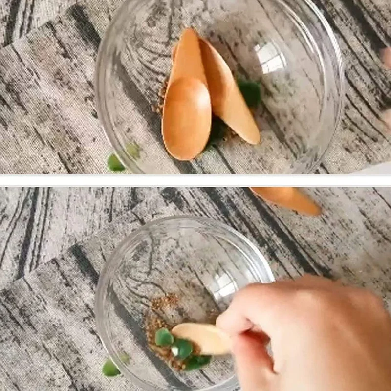 Mini Cuillère à Condiments en Bois avec Manche Court, pour Café, Thé, Feuilles, Lait en Poudre, Épices, Bonbons, 5 Pièces