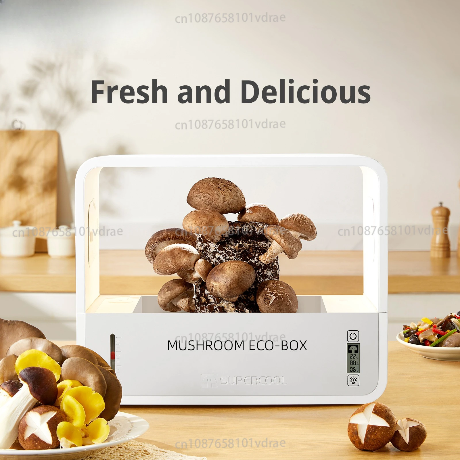 

Mushroom Eco-Box English Edition Smart Mushroom Grower Shiitake Cultivation Machine Automatic Humidification Growing Cabinet