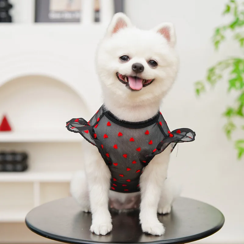 Fotografia 4: Roupas para Cães e Gatos de Verão, Camisetas com Capuz Transparente com Estampa de Coração Branco e Preto para Cães Pequenos, Chihuahua, York, Camiseta com Manga Voadora para Cães