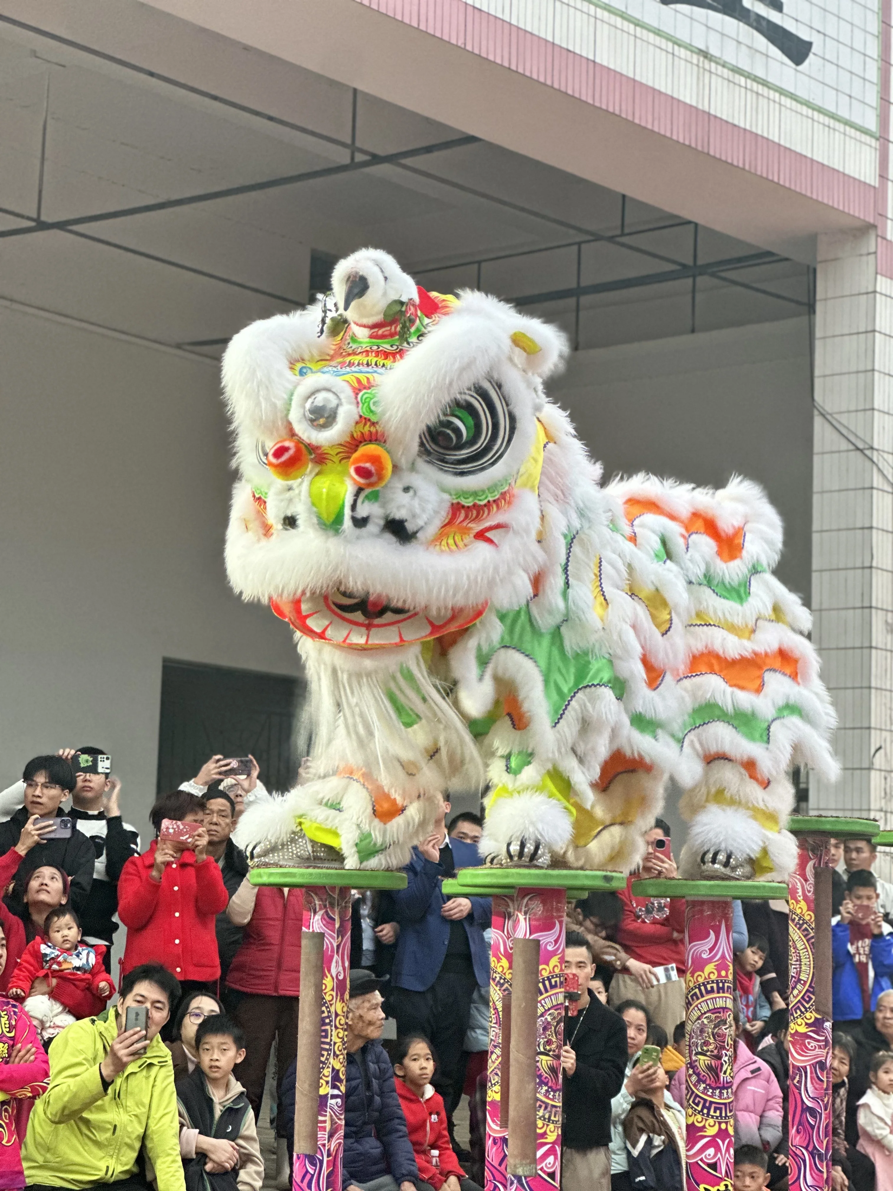 

Awakening Lion, Southern Lion,Dragon and Lion Dance, High Pole Lion Dance, and Dragon-Lion Celebration Performance