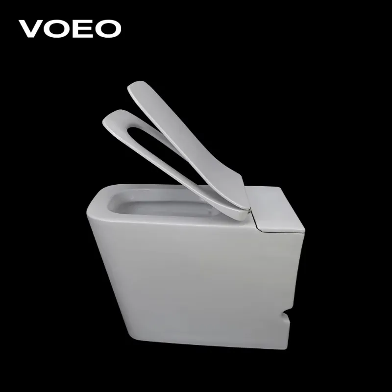Homeware Push Button or Foot Kick Flush Ceramic Washdown Toilet