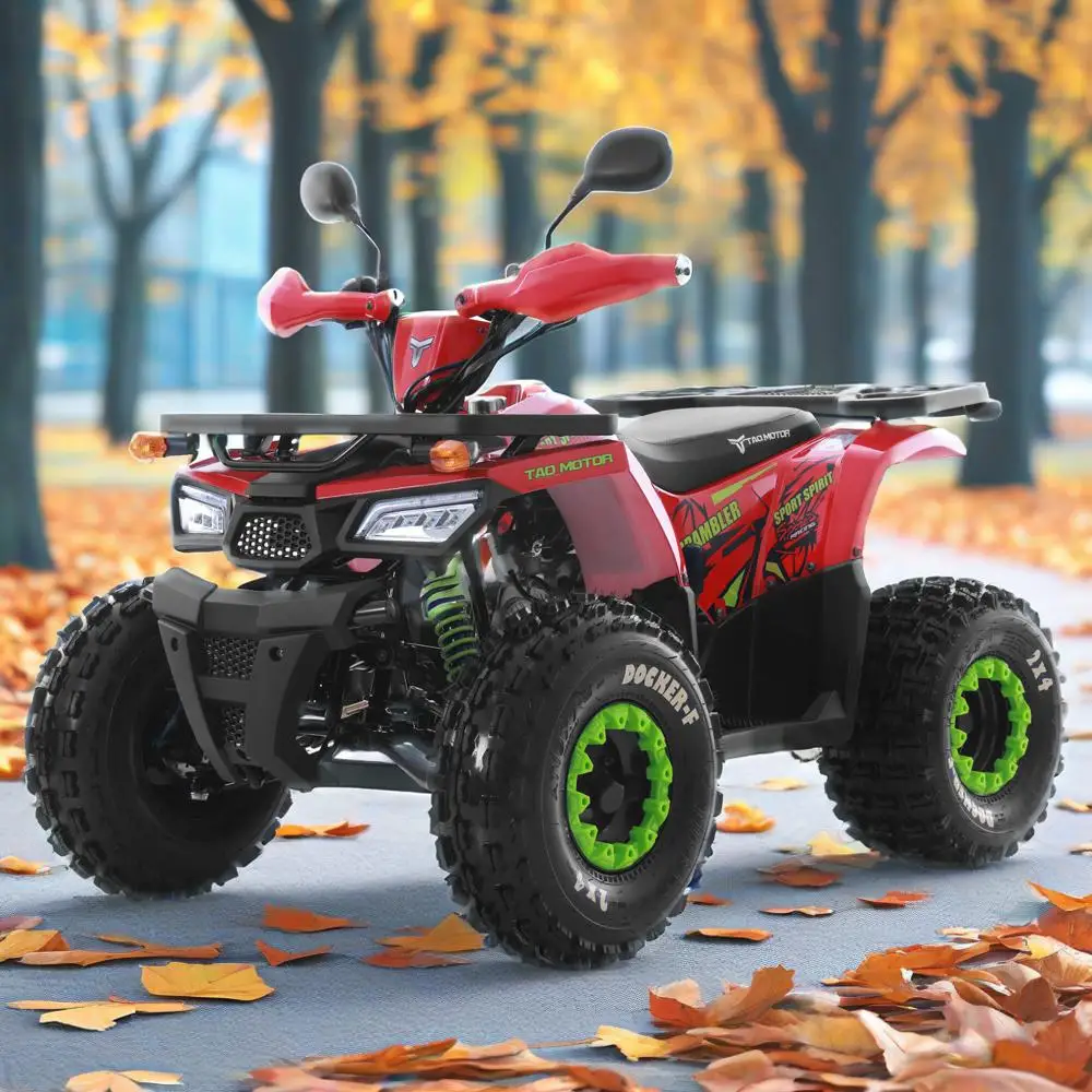 Tao Motor 2025 New CE Approved Automatic Chain Drive 4x2 Off Road ATV Quad Bike 4 Wheelers