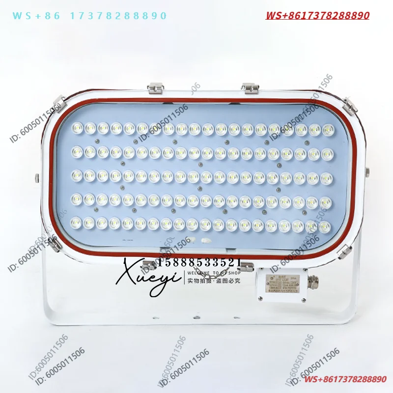 Marine and mining LED stainless steel flood light TG20-L/22-L strong light search power 100W200W