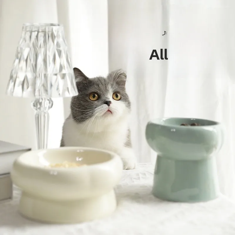 وعاء سيرك للحيوانات الأليفة مع حامل طعام للحيوانات الأليفة للكلاب وعاء شرب الماء مع وعاء مستلزمات الحيوانات الأليفة للعناية بالحيوانات الأليفة #3