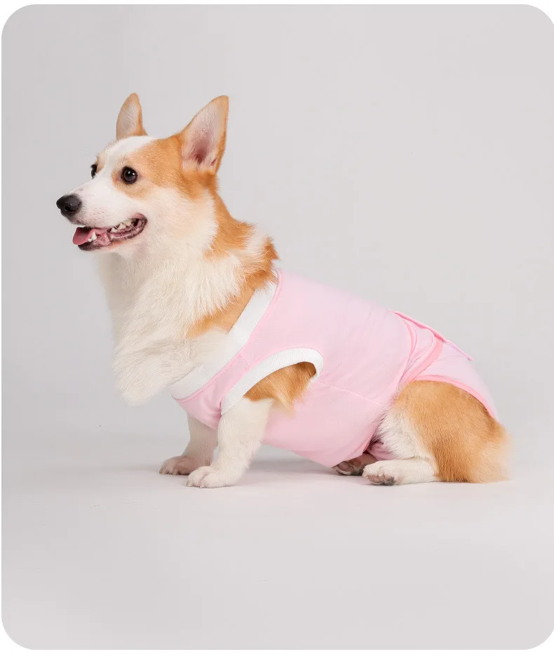 Shiba Inu Corgi male and female dog sterilization clothing, post-operative clothing, thin, anti-shedding and anti-licking