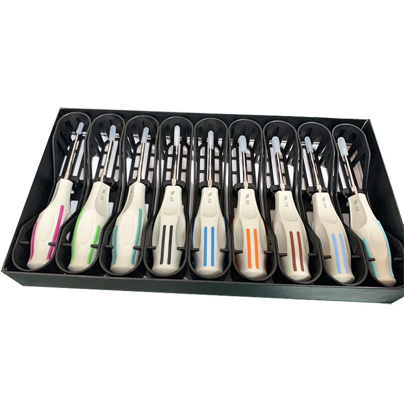 Assorted Dental Minimally Invasive Root Elevators 9 PCS Set Autoclavable Plastic Handle Dentist Surgical Instruments